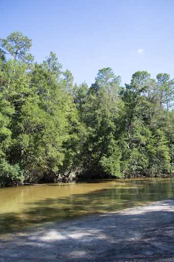 Styx River